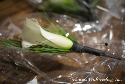 White Calla Lily boutonniere accented with white pine tips